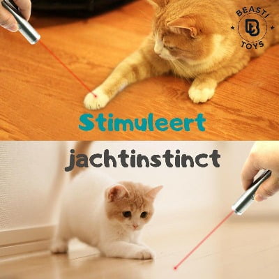 Beasti Toys Laserpen kat