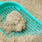 Beste-kattenbakvulling op schepje