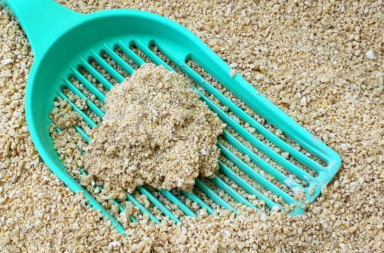 Beste-kattenbakvulling op schepje