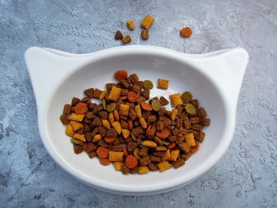kattenbrokjes in een leuk kattenkop bakje