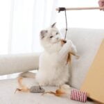 Kattenhengel: Waarom jouw kat er dol op is. 20x de Beste 64 Gizmo kattenhengel