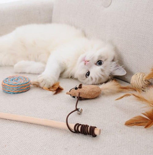 Kattenhengel: Waarom jouw kat er dol op is. 20x de Beste 26 kat met Gizmo kattenhengel