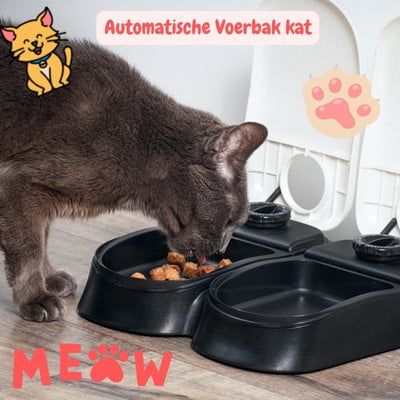 Automatische voerbak voor kat Canva pro