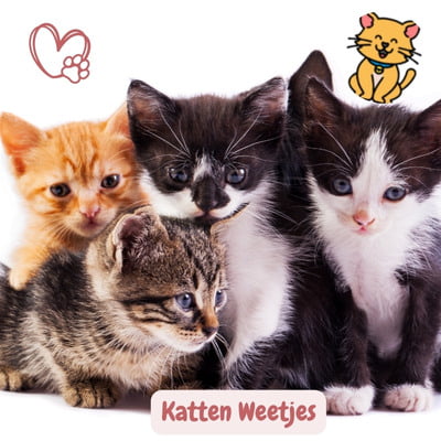 100 fascinerende Katten Weetjes om te Delen en Te Lachen 3 100 leuke Katten weetjes