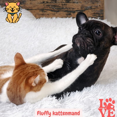 Fluffy Kattenmand: 15x Stijlvol en Zacht voor Luxe Loungen 20 Fluffy kattenmand