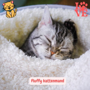 Fluffy kattenmand kat