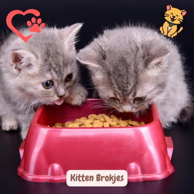 Kitten Brokjes: 20x Kitten Geluk in Elk Knabbeltje 1 Kitten brokjes