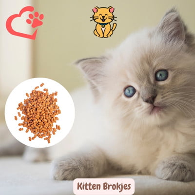 Kitten Brokjes: 20x Kitten Geluk in Elk Knabbeltje 25 Kitten brokjes en kitten