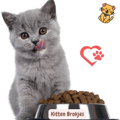 Kitten Brokjes: 20x Kitten Geluk in Elk Knabbeltje 26 Kitten brokjes in bakje