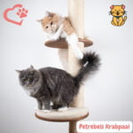 Petrebels Krabpaal: 15x Duurzaam Design voor Gelukkige Katten 32 Petrebels Krabpaal