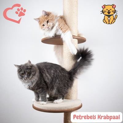 Petrebels Krabpaal: 15x Duurzaam Design voor Gelukkige Katten 1 Petrebels Krabpaal