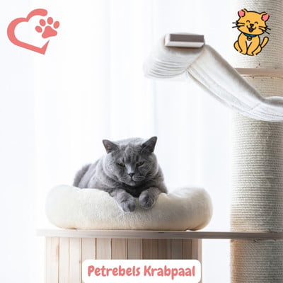 Petrebels Krabpaal: 15x Duurzaam Design voor Gelukkige Katten 18 Petrebels Krabpaal britse korthaar