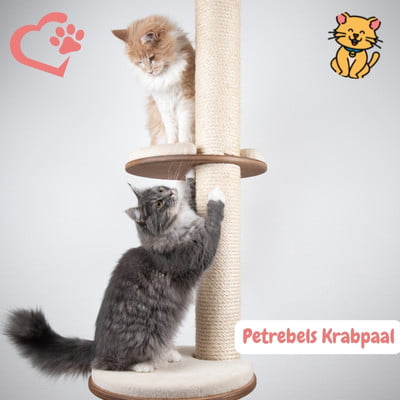 Petrebels Krabpaal: 15x Duurzaam Design voor Gelukkige Katten 17 Petrebels Krabpaal kittens