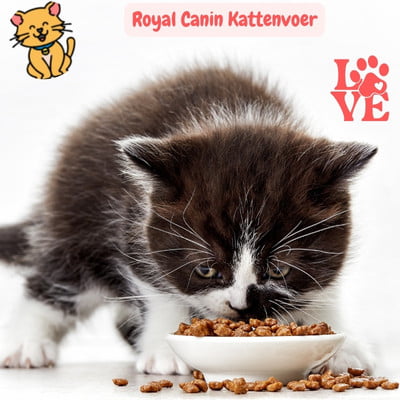 Royal Canin Kattenvoer: 25x Kies voor Top kwaliteit 28 Royal Canin Kattenvoer