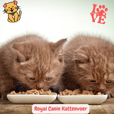 Royal Canin Kattenvoer: 25x Kies voor Top kwaliteit 27 Royal Canin Kattenvoer kittens