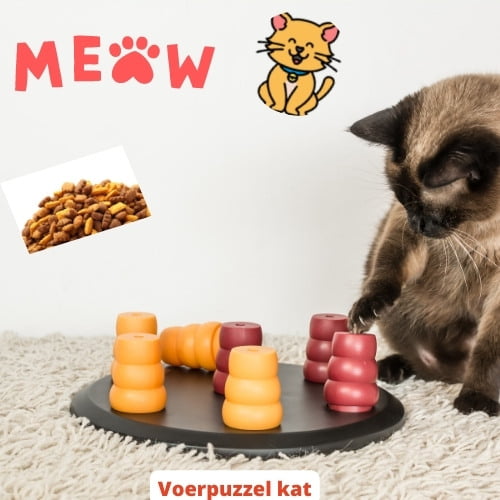 Voerpuzzel kat: 15 Voeruitdagingen die Katten echt Stimuleren 1 Voerpuzzel kat