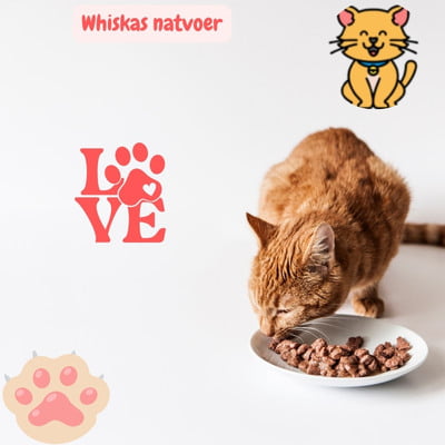 Whiskas Natvoer: 15x Echt Pure Kattenliefde 1 Whiskas natvoer