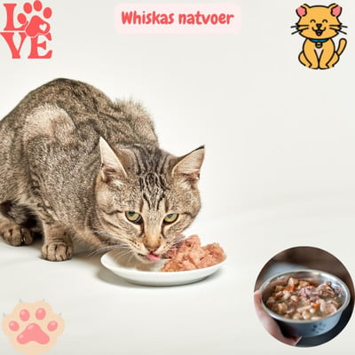 Whiskas Natvoer: 15x Echt Pure Kattenliefde 18 Whiskas natvoer bakje