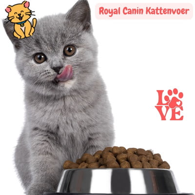 Royal Canin Kattenvoer: 25x Kies voor Top kwaliteit 1 het beste Royal Canin Kattenvoer