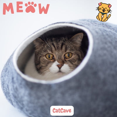 Catcave: Creëer 15x een Knusse Schuilplaats voor Je Kat 1 kat in Catcave