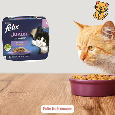 Felix Kattenvoer: 19x het Beste Voor blije kattenbuikjes 23 Felix Kattenvoer