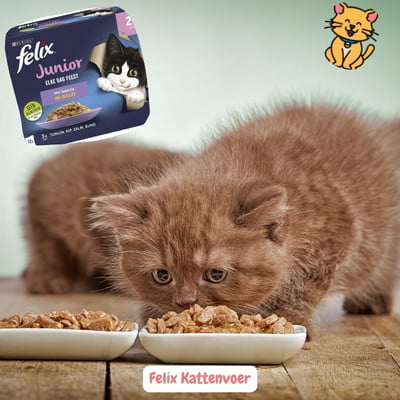 Felix Kattenvoer: 19x het Beste Voor blije kattenbuikjes 22 Felix Kattenvoer junior