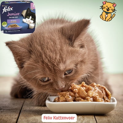 Felix Kattenvoer: 19x het Beste Voor blije kattenbuikjes 1 Felix Kattenvoer natvoer