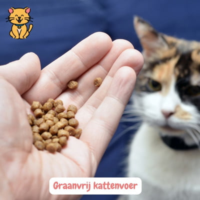 Graanvrij kattenvoer: katvriendelijke ingrediënten 18 Graanvrij kattenvoer