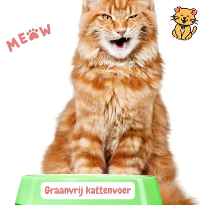 Graanvrij kattenvoer: katvriendelijke ingrediënten 1 Graanvrij kattenvoer kat