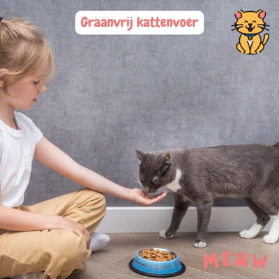 Graanvrij kattenvoer: katvriendelijke ingrediënten 17 Graanvrij kattenvoer voeren