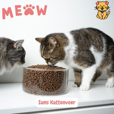 Kies IAMS kattenvoer: 15x Gelukkige katten, stralende vacht. 18 Iams Kattenvoer 2 katten