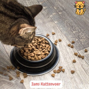 Kies IAMS kattenvoer: 15x Gelukkige katten, stralende vacht. 31 Iams Kattenvoer