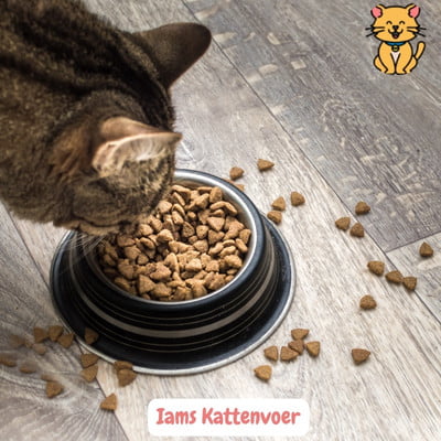 Kies IAMS kattenvoer: 15x Gelukkige katten, stralende vacht. 1 Iams Kattenvoer