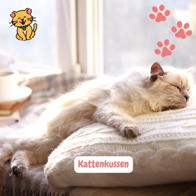 Kattenkussen kat