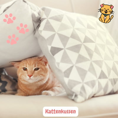 Kattenkussen