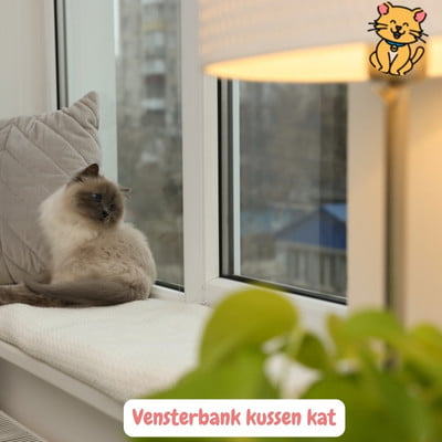 Vensterbank kussen kat