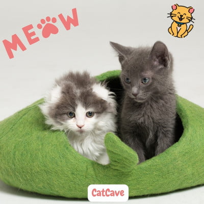 Catcave: Creëer 15x een Knusse Schuilplaats voor Je Kat 17 twee kittens in Catcave