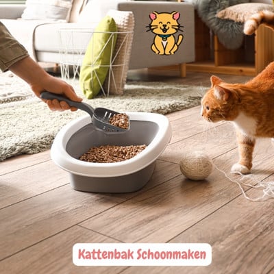 Kattenbak Schoonmaken