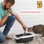 Kattenbak schoonmaken: 11 Tips voor een frisse kattenbak 109 Kattenbak Schoonmaken stinkt