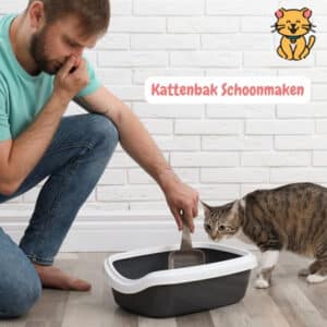 Kattenbak schoonmaken: 11 Tips voor een frisse kattenbak 110 Kattenbak Schoonmaken stinkt