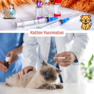 Katten vaccinaties