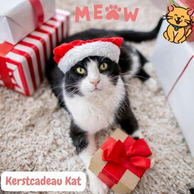 Kerstcadeau Kat: Ontdek Unieke Geschenkideeën en Tips! 1 kerstcadeau kat