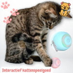 Interactief kattenspeelgoed: Echt Kat-astisch plezier! 2024 67 Interactief kattenspeelgoed