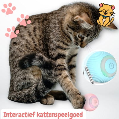 Interactief kattenspeelgoed: Echt Kat-astisch plezier! 2024 1 Interactief kattenspeelgoed
